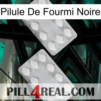Black Ant Pill 17